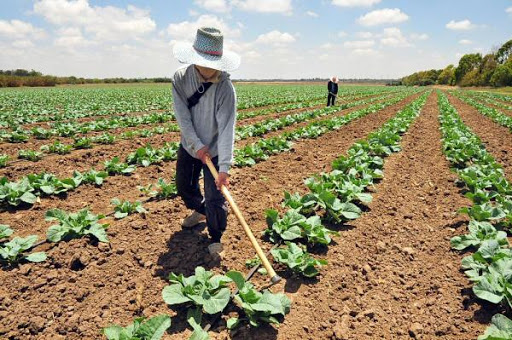 Agricultura